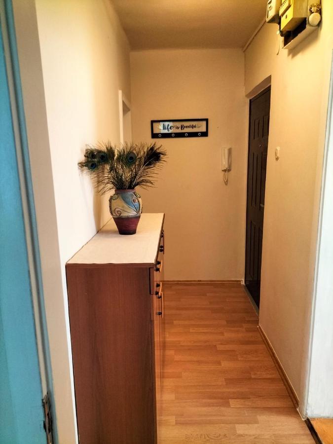 Apartman Lulu Apartment Rijeka Exterior photo